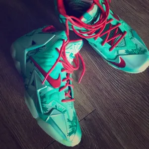 Lebron James sneakers 11 Christmas