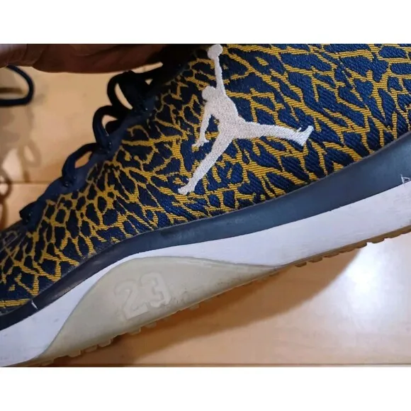Nike Jordan Trainer 1 Low Michigan Sz 10.5 Men’s Athletic Wolverines Sneakers