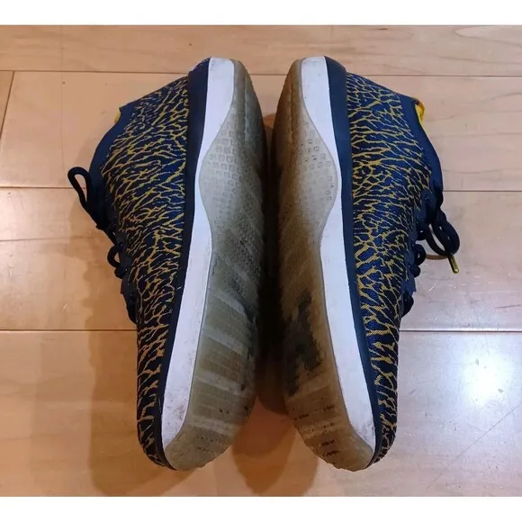Nike Jordan Trainer 1 Low Michigan Sz 10.5 Men’s Athletic Wolverines Sneakers