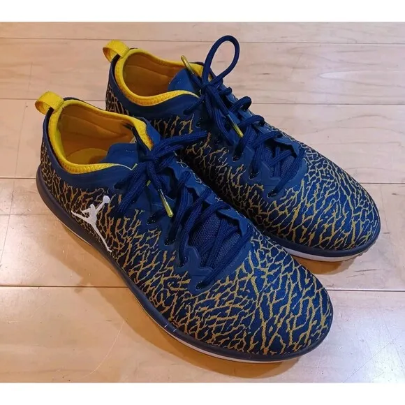 Nike Jordan Trainer 1 Low Michigan Sz 10.5 Men’s Athletic Wolverines Sneakers