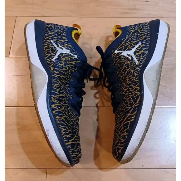 Nike Jordan Trainer 1 Low Michigan Sz 10.5 Men’s Athletic Wolverines Sneakers